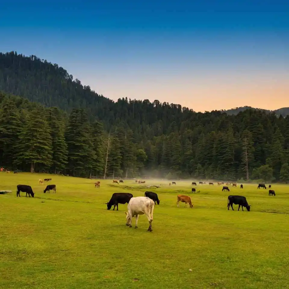 Khajjiar